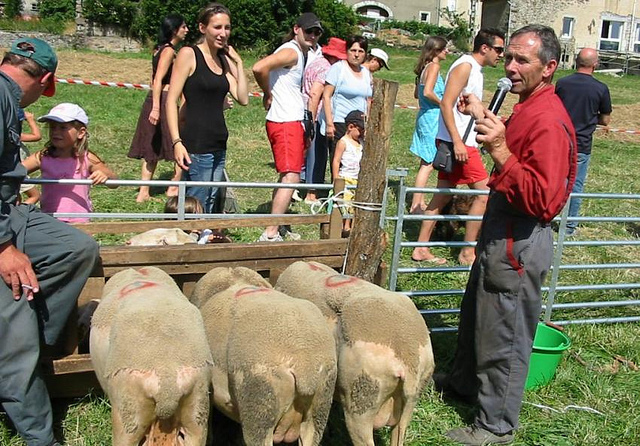 LES PAYSANS FONT LEUR FOIRE A PAYRAC