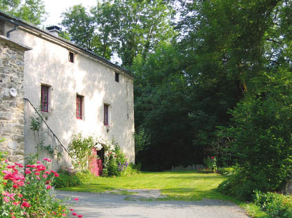 LE GRAND VERT