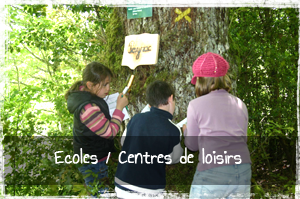 Ecole